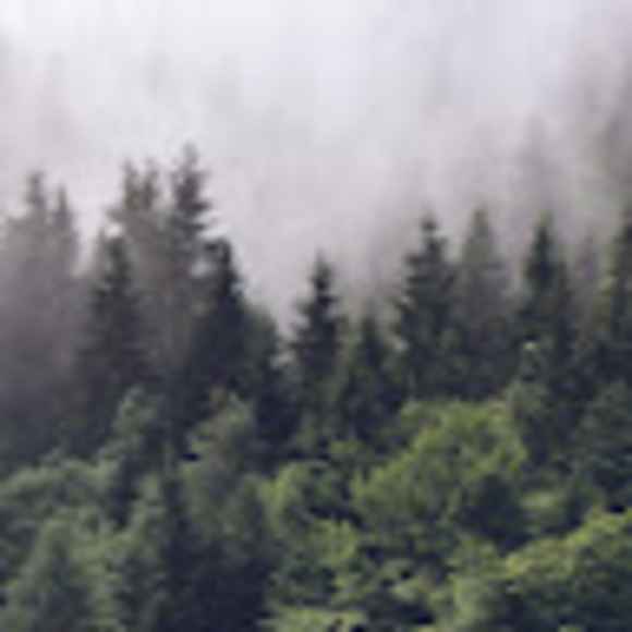 Meet your Posher, Grace - Picture 1 of 1